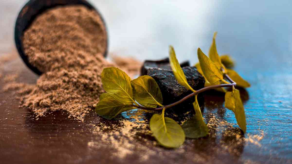 Largest Producer of Asafoetida in India